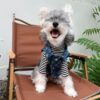 10 Pet summer thin denim vest