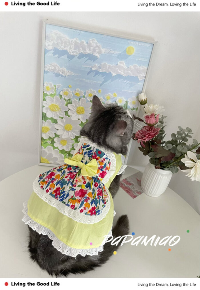 10 Pet maid floral skirt