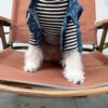 11 Pet summer thin denim vest