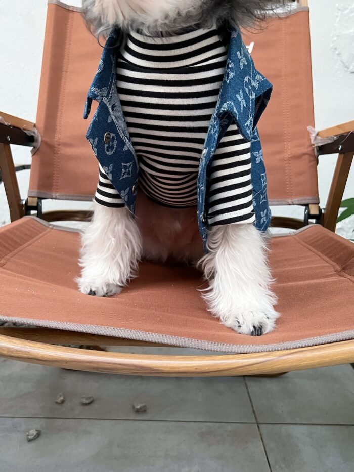 11 Pet summer thin denim vest