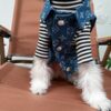 12 Pet summer thin denim vest