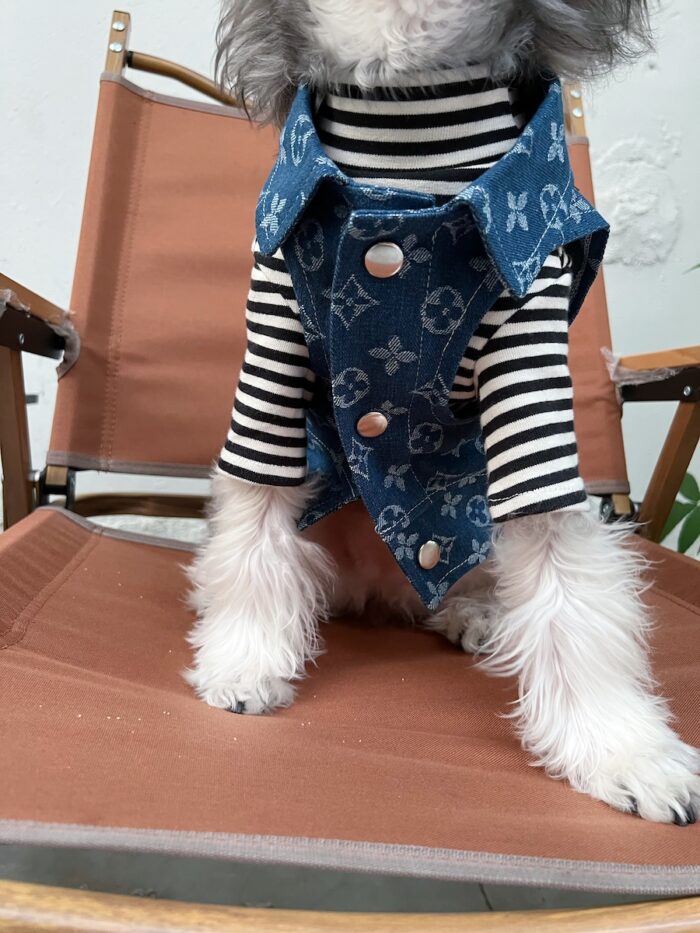 12 Pet summer thin denim vest