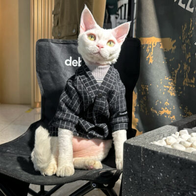 Checkered cotton cardigan jacket