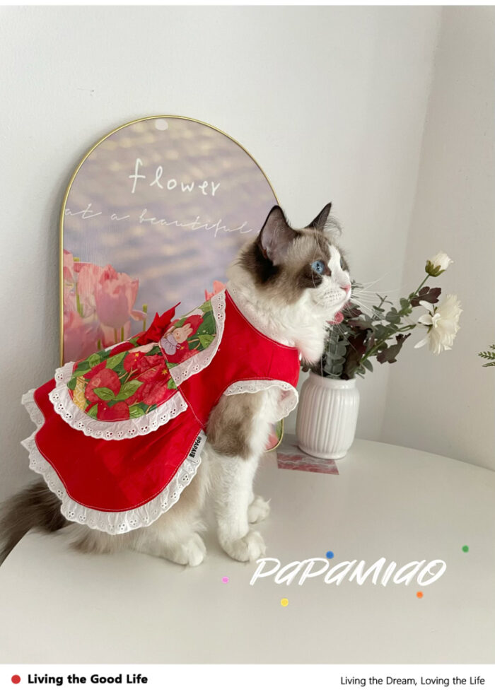 13 Pet maid floral skirt