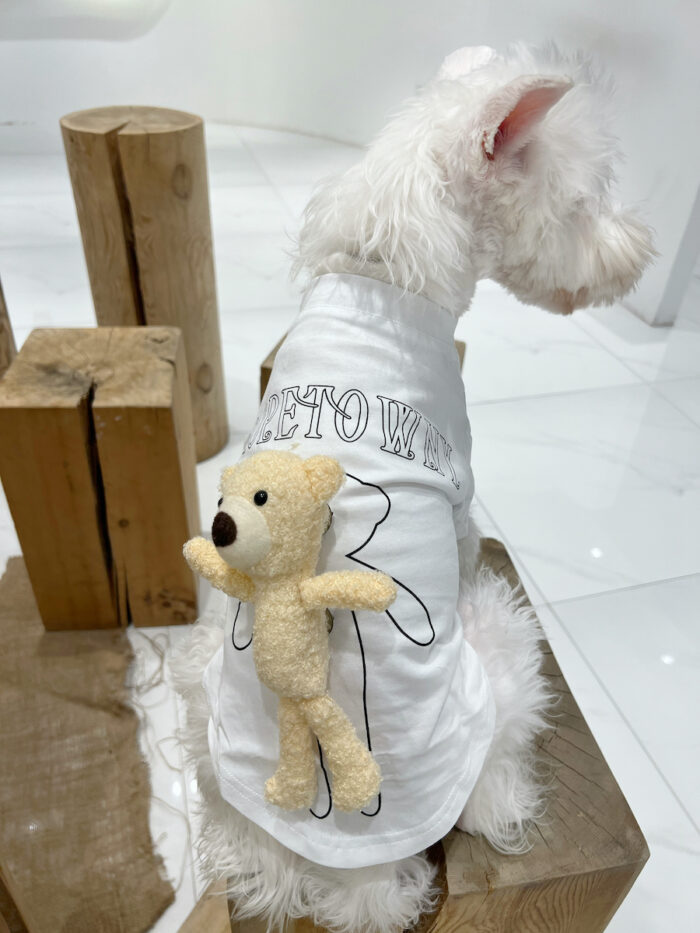 Pet parent-child dog clothing