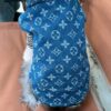 14 Pet summer thin denim vest
