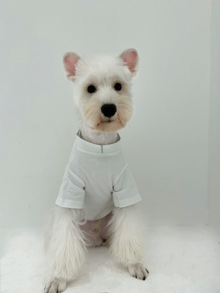 Pet parent-child dog clothing