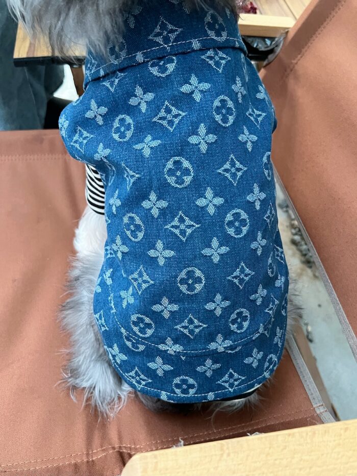 14 Pet summer thin denim vest