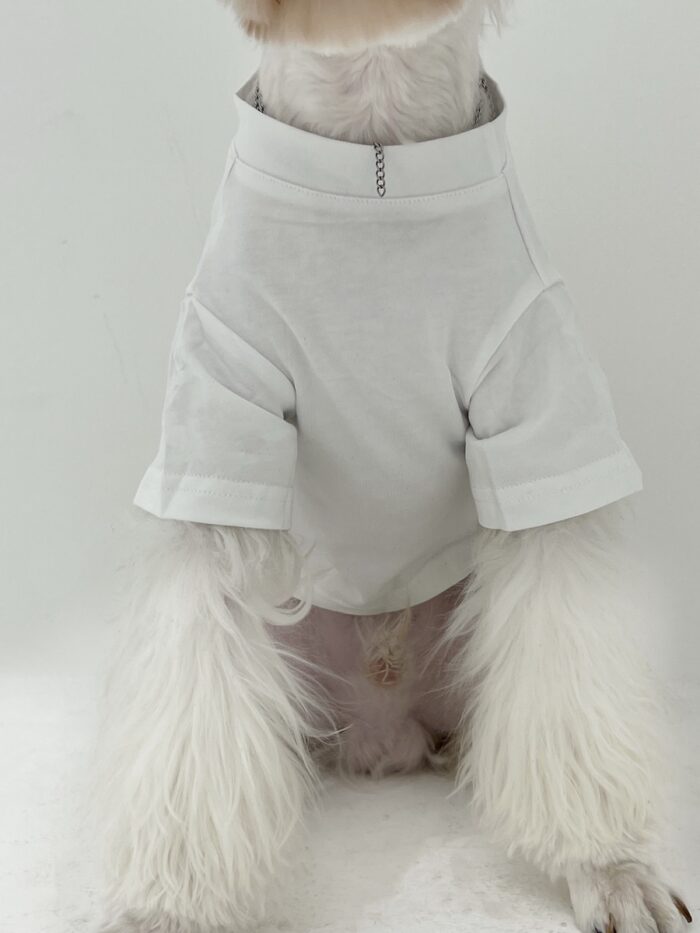 Pet parent-child dog clothing