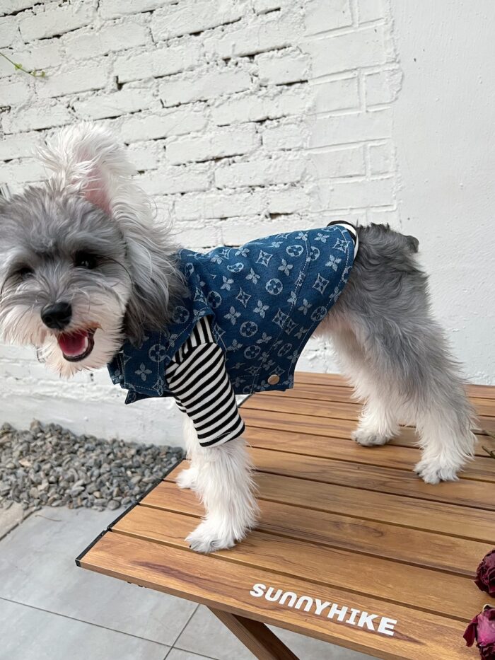 15 Pet summer thin denim vest
