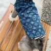 16 Pet summer thin denim vest
