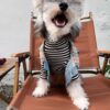 17 Pet summer thin denim vest