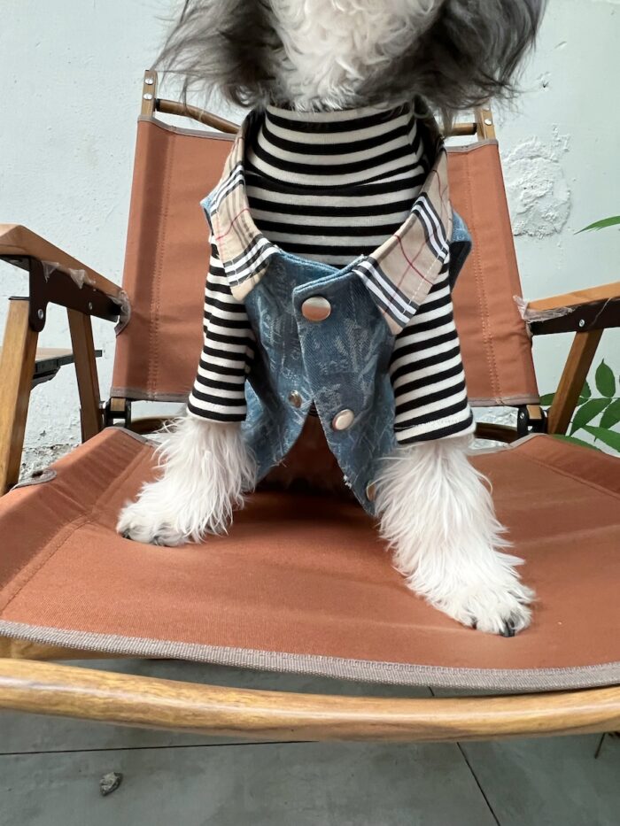 18 Pet summer thin denim vest