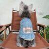 19 Pet summer thin denim vest