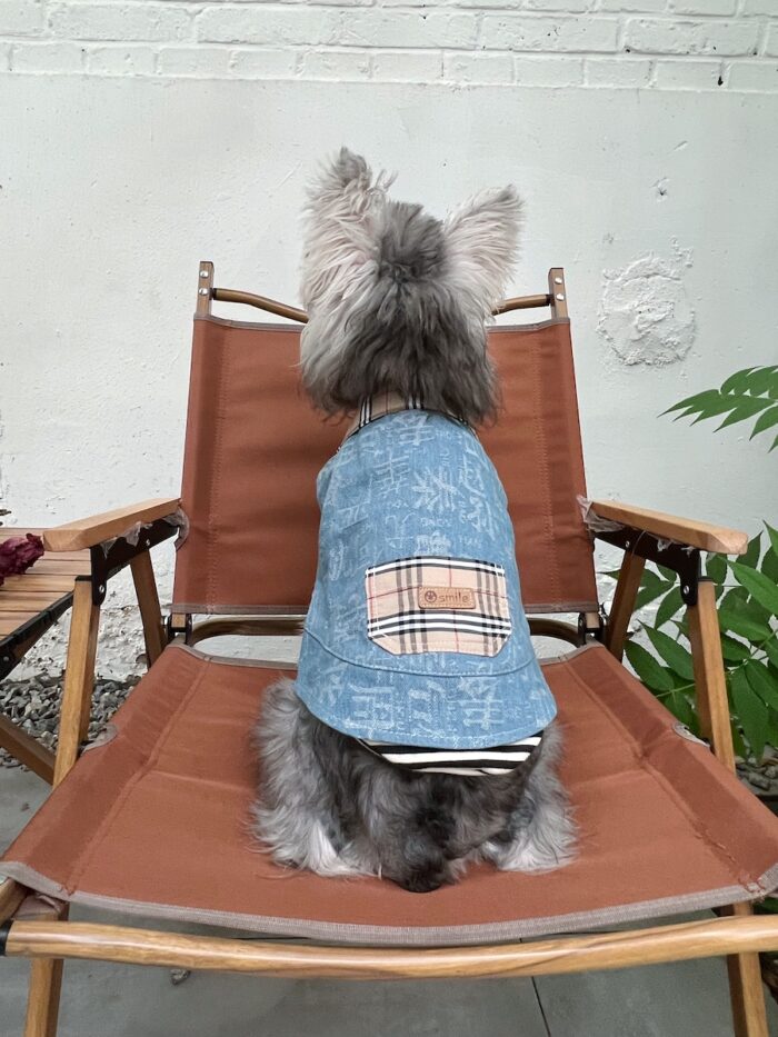 19 Pet summer thin denim vest