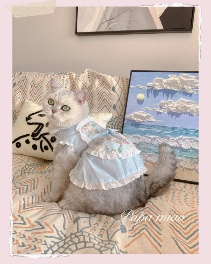 20 Pet maid floral skirt