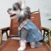 20 Pet summer thin denim vest