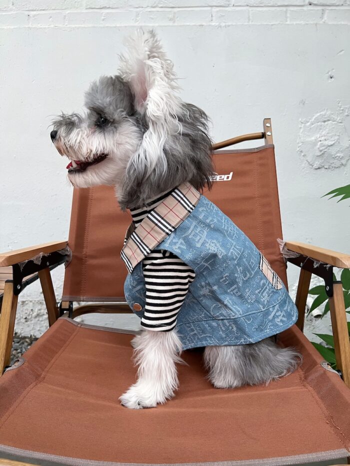 20 Pet summer thin denim vest