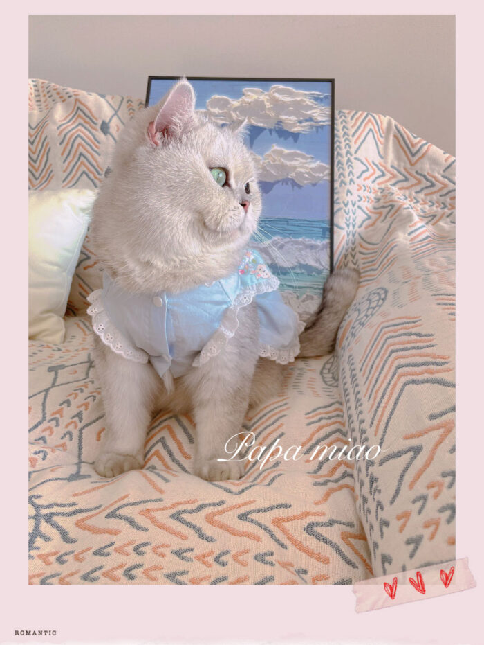 21 Pet maid floral skirt