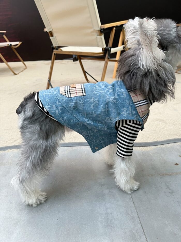 21 Pet summer thin denim vest