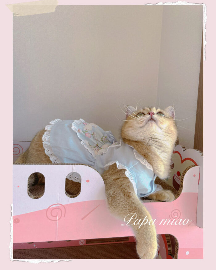 23 Pet maid floral skirt