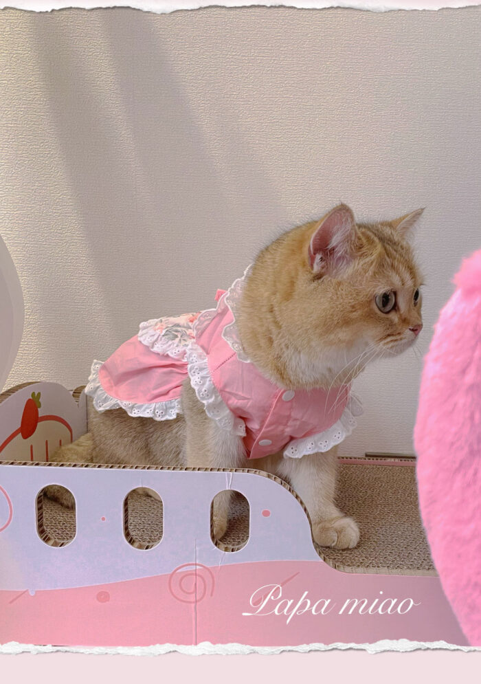 25 Pet maid floral skirt