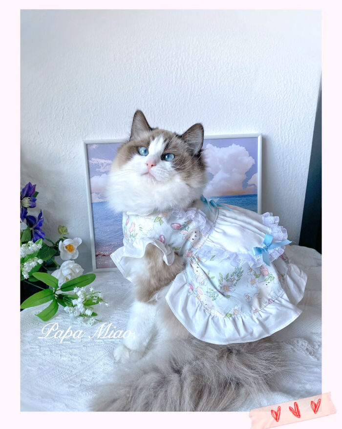 27 Pet maid floral skirt