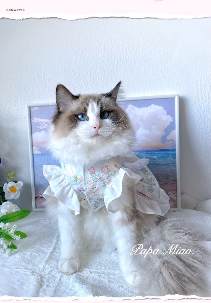 28 Pet maid floral skirt