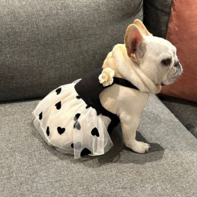 Pet Dog Strap Dress