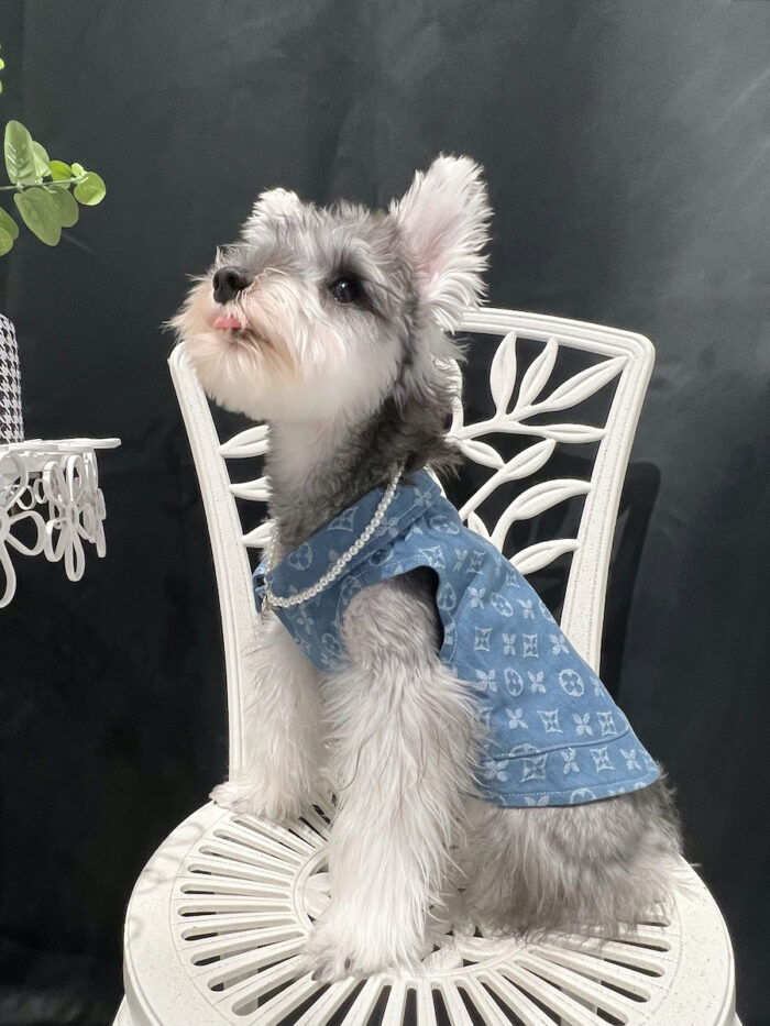6 Pet summer thin denim vest