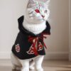6 Pet cat dog Naruto costume