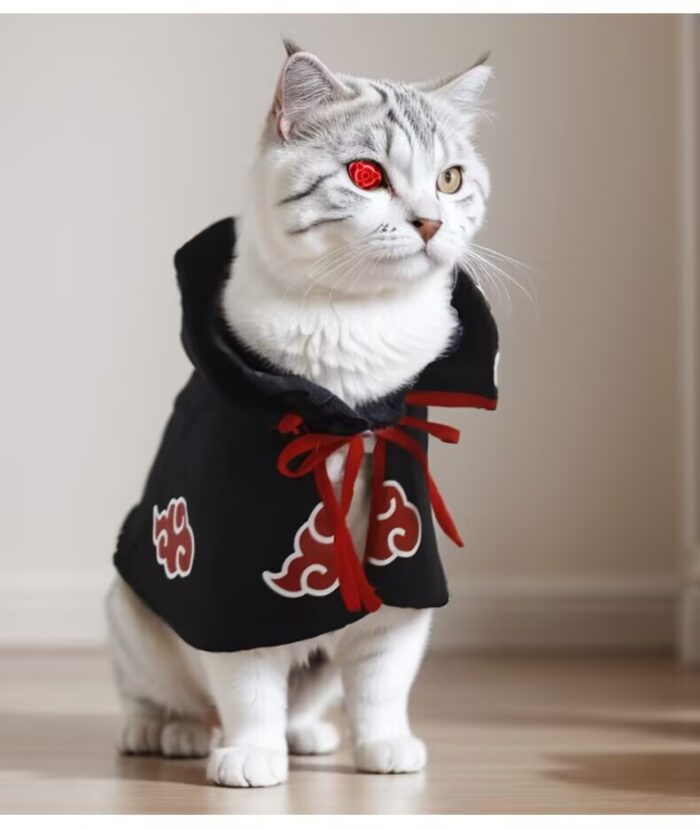 6 Pet cat dog Naruto costume