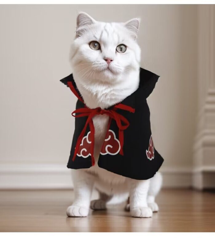7 Pet cat dog Naruto costume