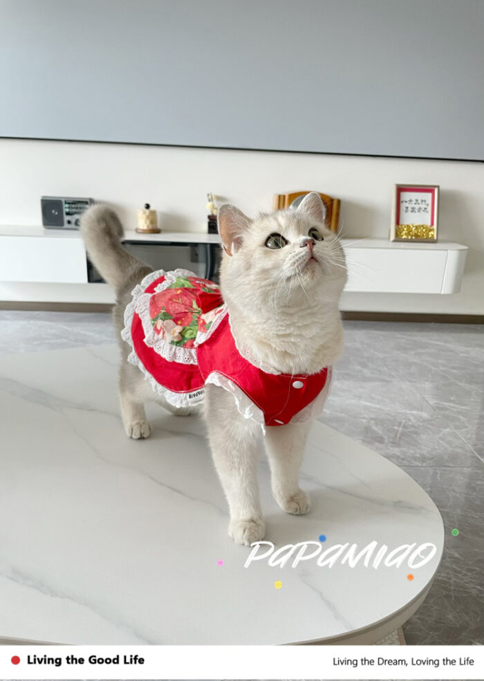 7 Pet maid floral skirt