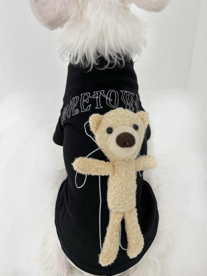 Pet parent-child dog clothing