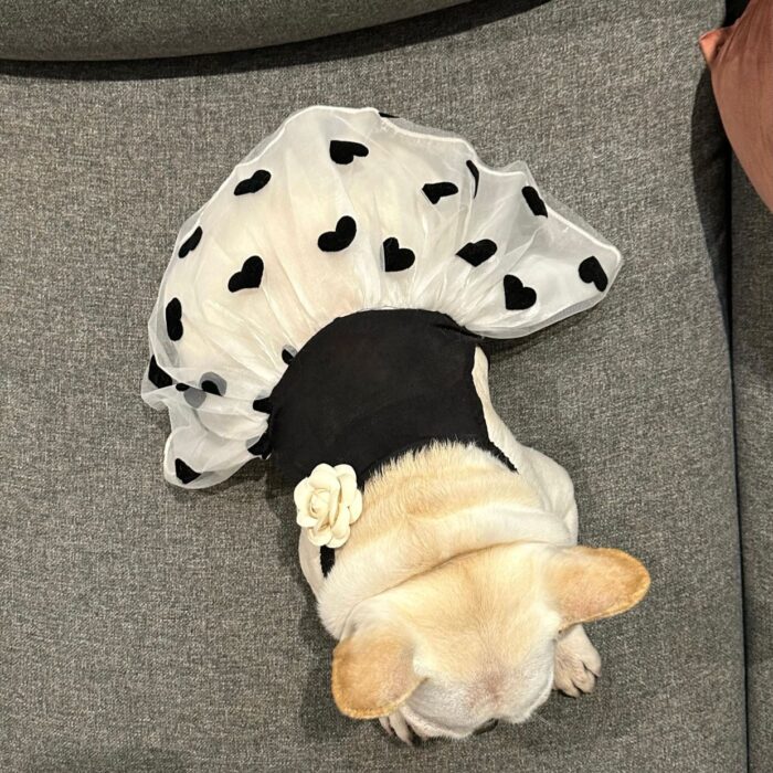 9 Pet Dog Strap Dress