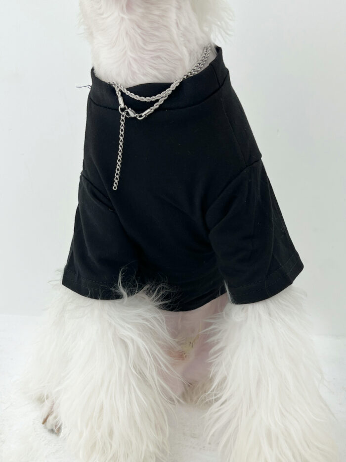 Pet parent-child dog clothing