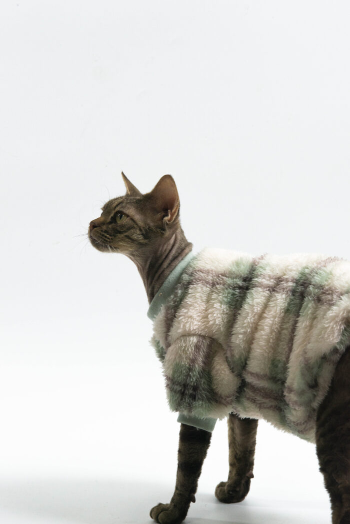 11 JELU Hairless Cat Clothes