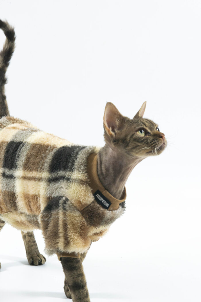 7 JELU Hairless Cat Clothes